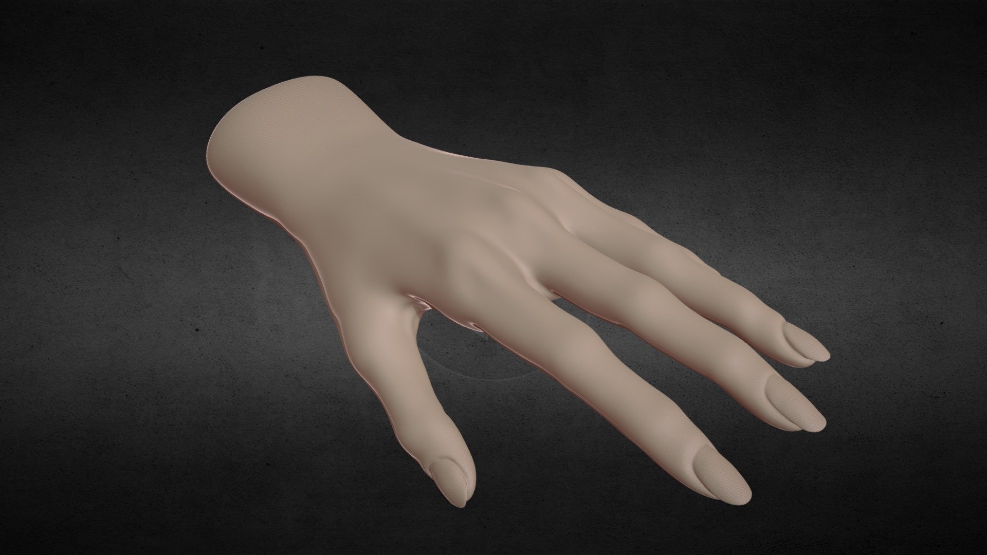 Female Hand(1/31 fixed) Download Free 3D model by yuzutarou
