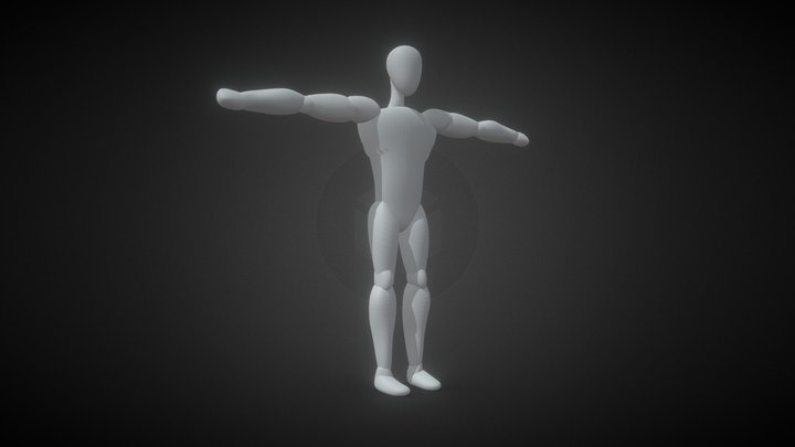 T pose character
