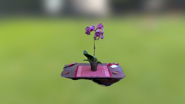 Orchid 11-3 Final Version 3D Model