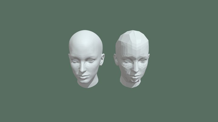 Head 3D Model