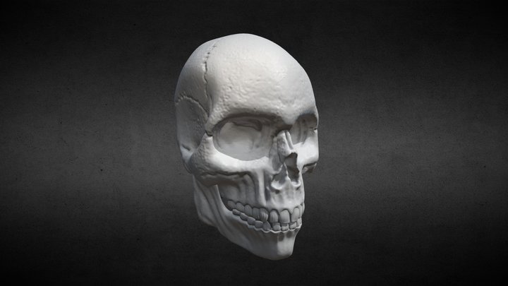 Ejercicio 2.1 Skull Eduardo 3D Model