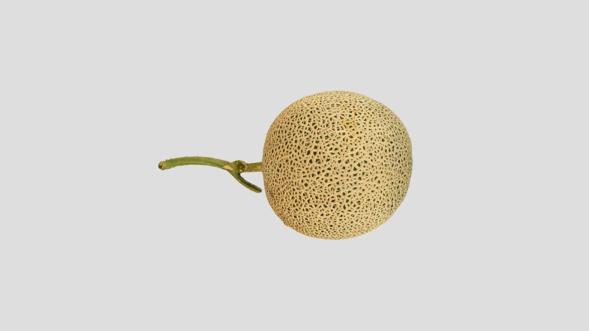 Melon