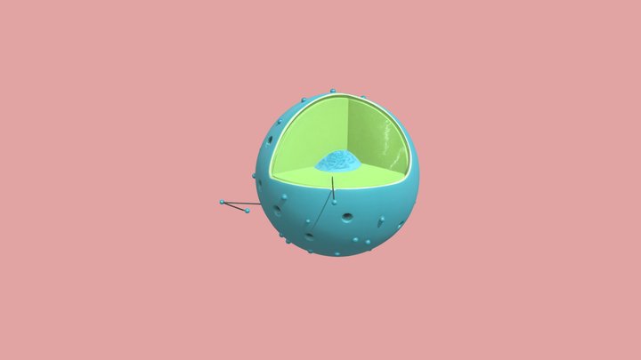 Nucleo 3D Model