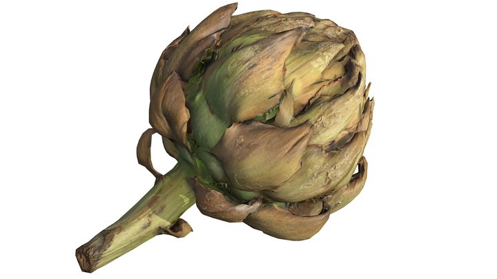 Artichoke