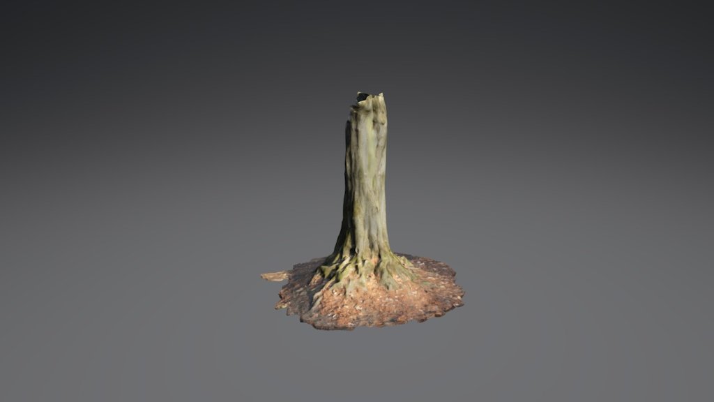 Tree 01 decimated from 2m to 30k - 3D model by TheRedAgent [910701b ...