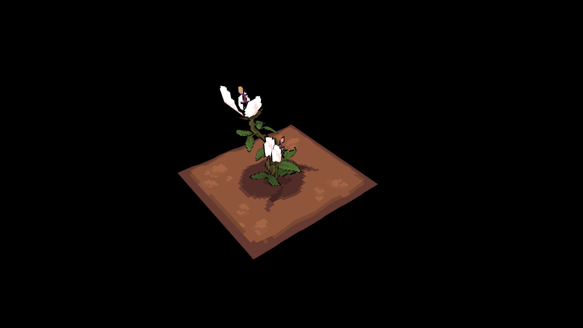 Flowering Plant