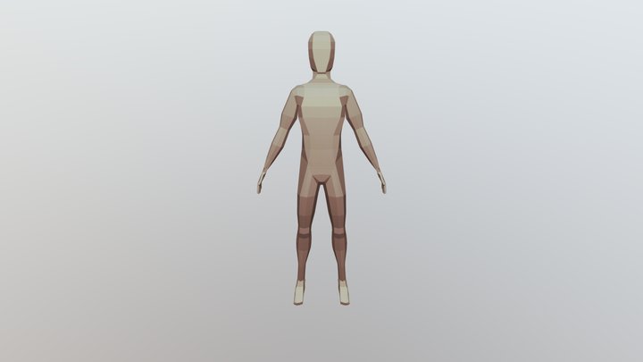 Low Poly Humanoid
