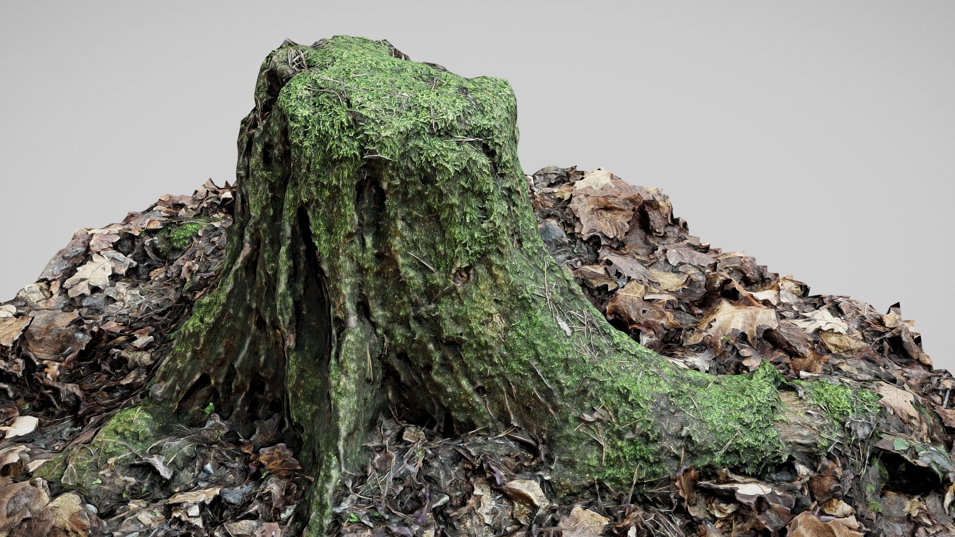3D model Mossy Tree Stump - This is a 3D model of the Mossy Tree Stump. The 3D model is about a large rock with moss growing on it.