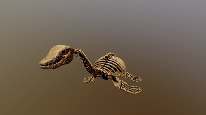Pleziozavr_skeleton 3D Model
