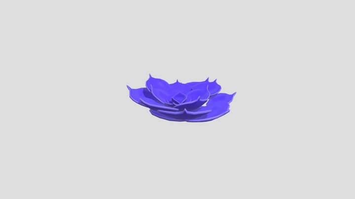 Succulent 3D Model