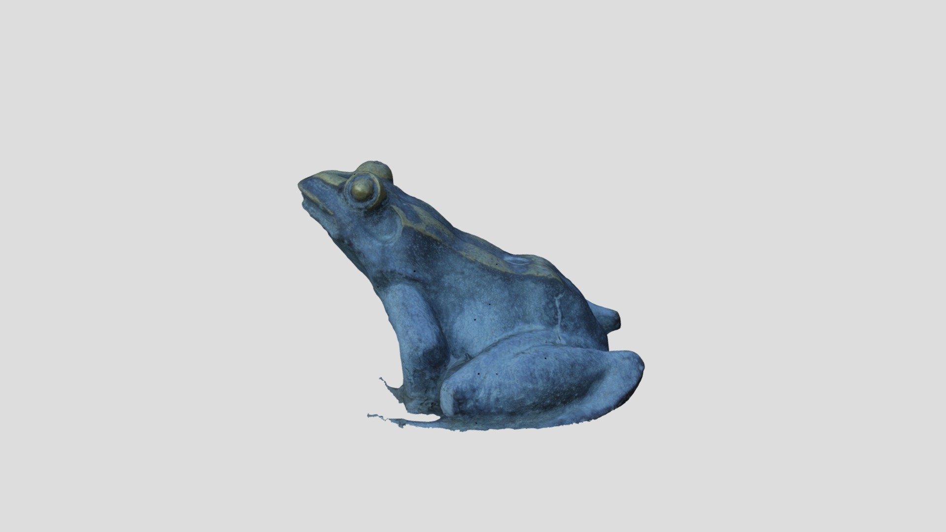 MESHROOM_FROG_PROCESSED