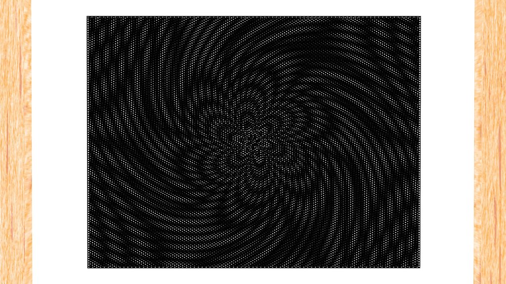 The Flower That Spins OPT