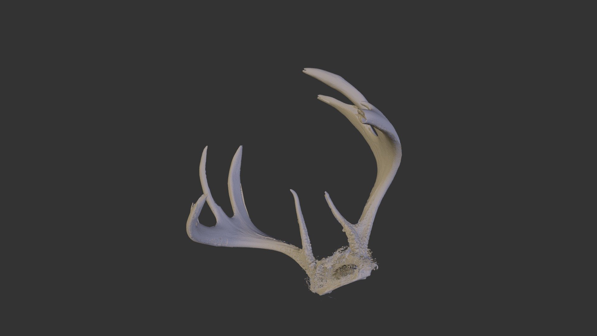 nice rack