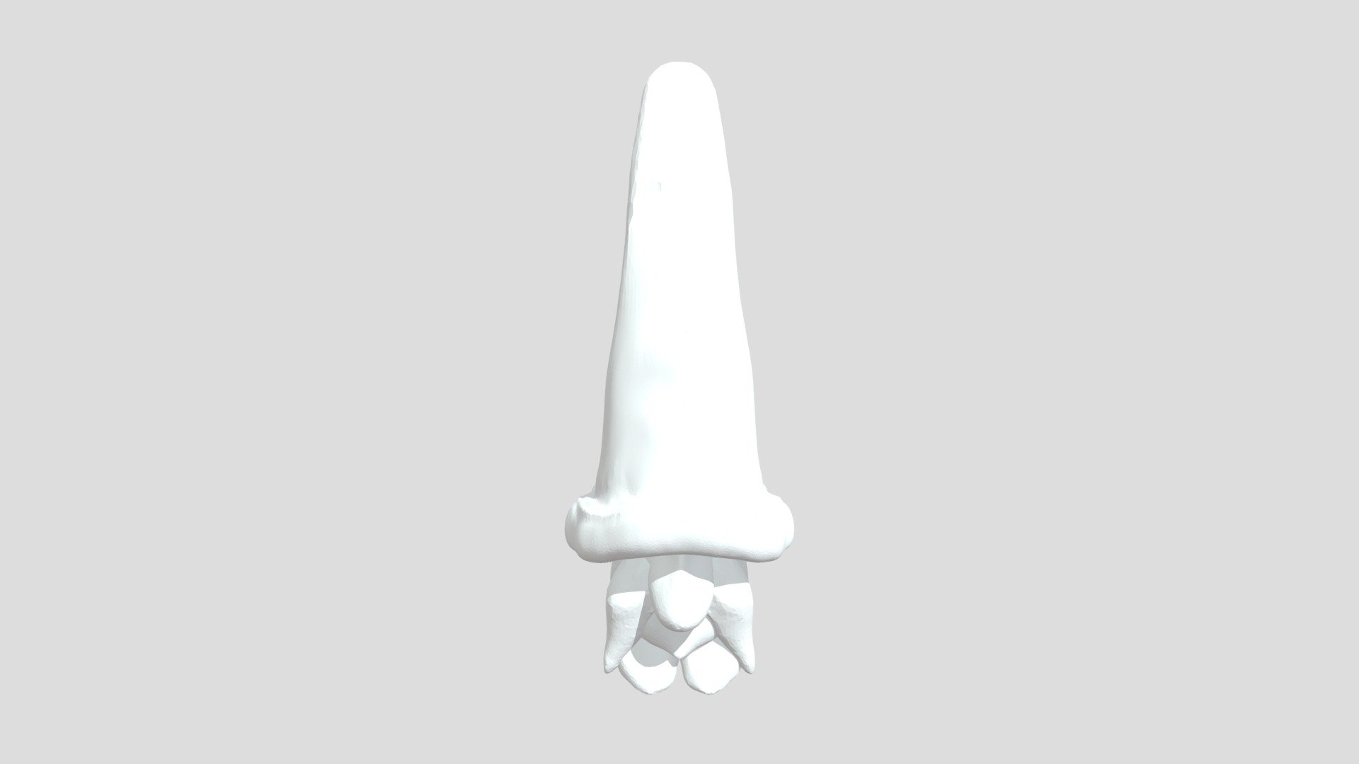 G-nome