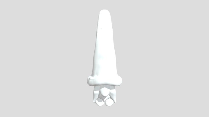 G-nome 3D Model