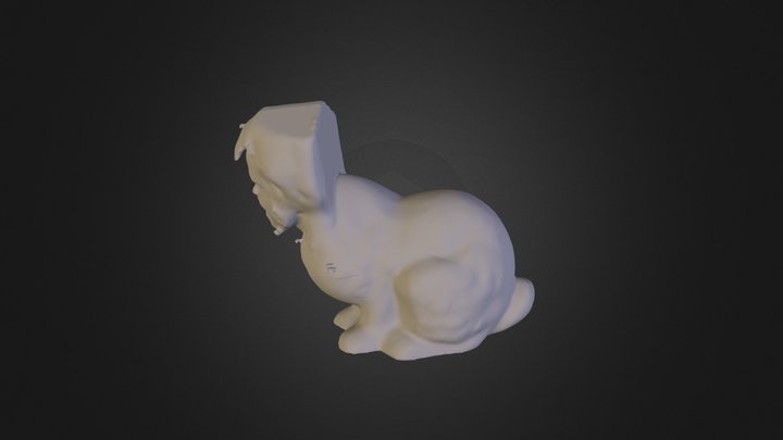 Bunny With My Face 3D Model