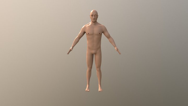Human Model 3D Model