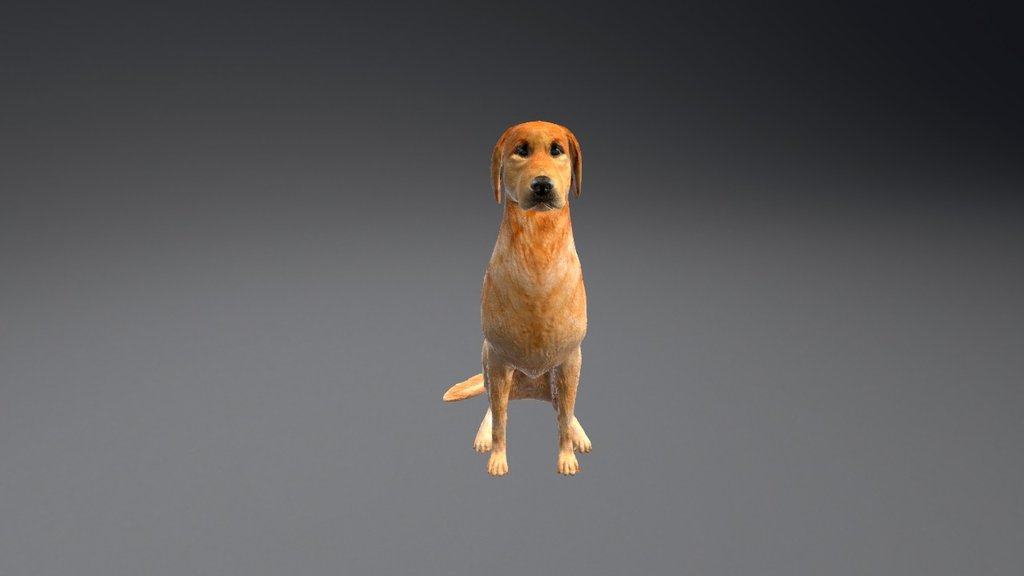 Dog - 3D model by numlocked [911bb46] - Sketchfab