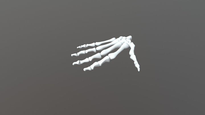 Minotauro Mano 3D Model
