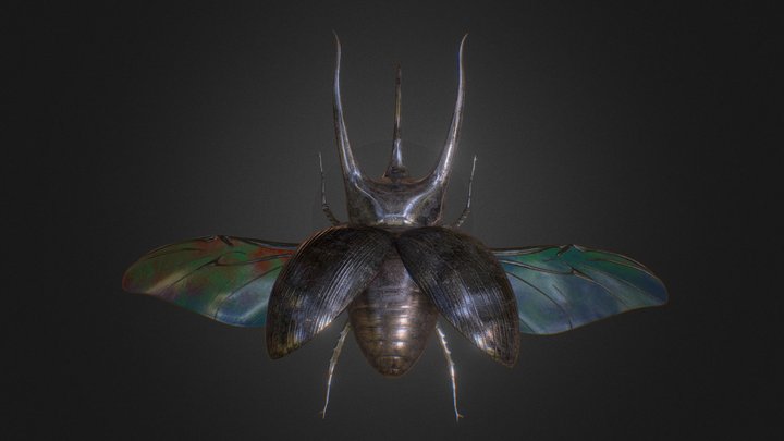 Hercules beetle 3D Model