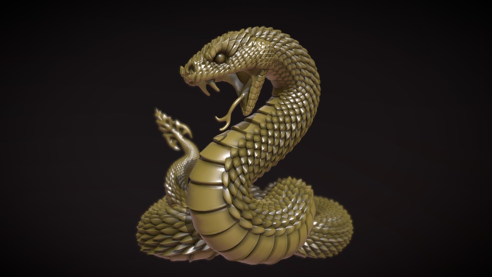 Snake - Free 3D models