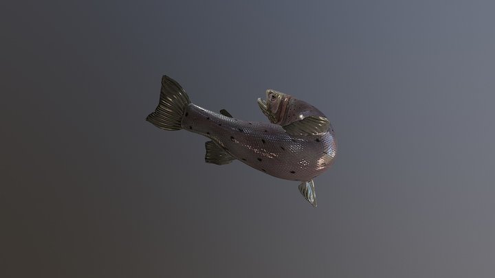 Freedom From Soup - Trout 3D Model
