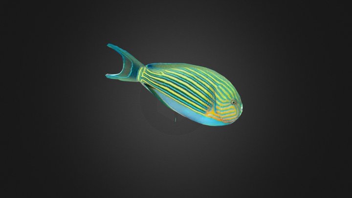 Exotic Fish 3D Model