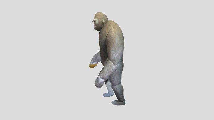 Homo Erectus-20201222 3D Model