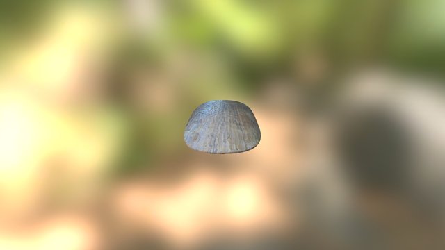 Aboriginal shield from Brisbane region 3D Model