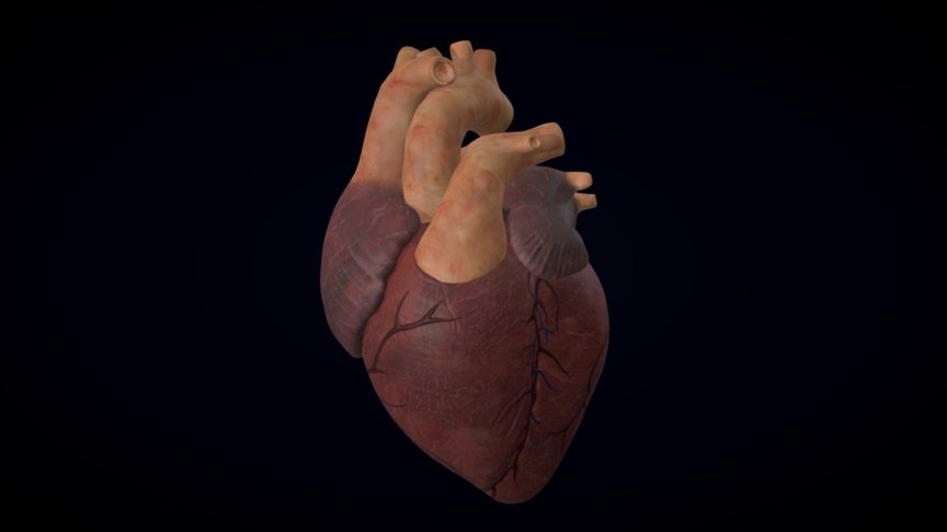 Heart beating — Sketchfab embed 3D viewer