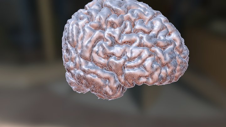 Brain3DFBX 3D Model