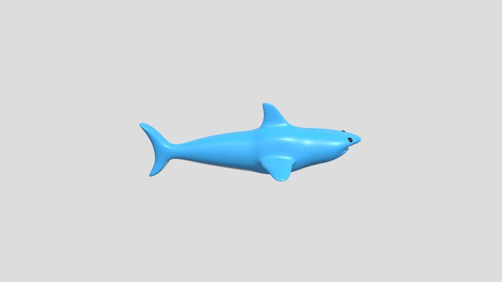 Shark 3D Model