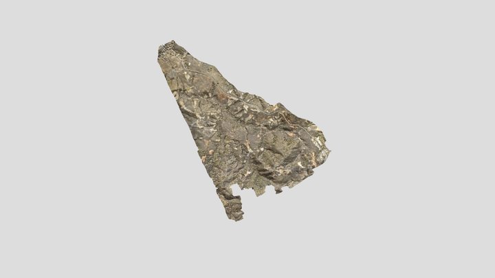 Jaltepec 05-06-24_simplified_3d_mesh 3D Model