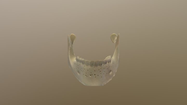 With cavity 3D Model