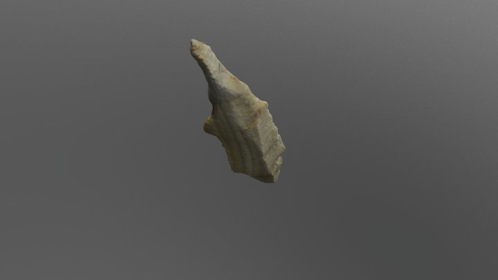 Tanged point 3D Model