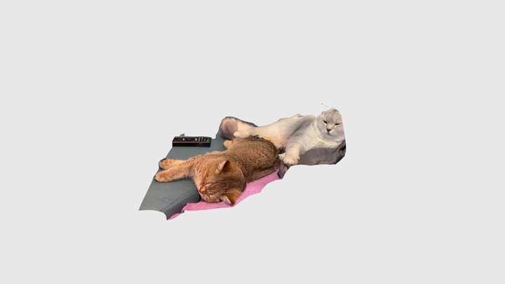 sleeping cat 3D Model