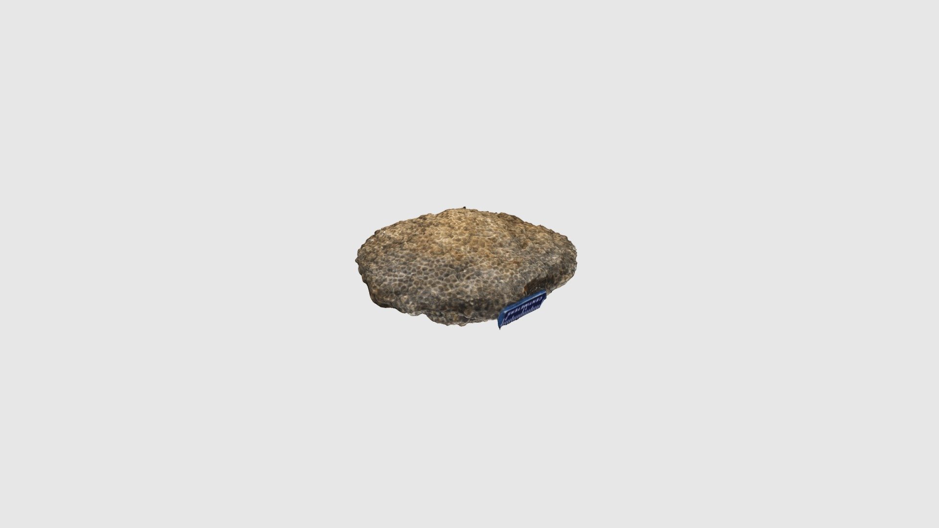 fossil 202