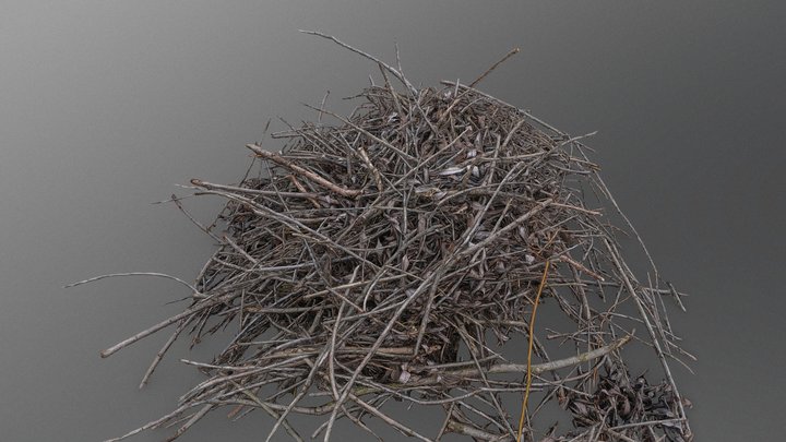 Small branches pile 3D Model