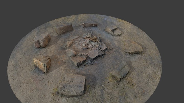 Campfire 3D Model