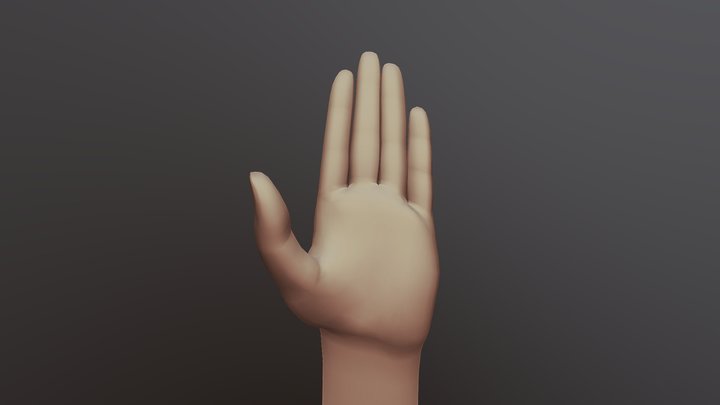 Simple hand with arm 3D Model