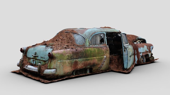 Pine Needle Car (Free Raw Scan) – Gratis 3D-model STL