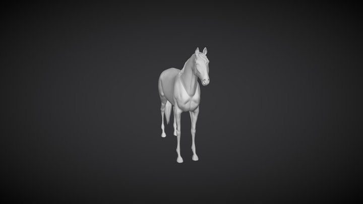 Andalusian Horse Sculpt 3D Model