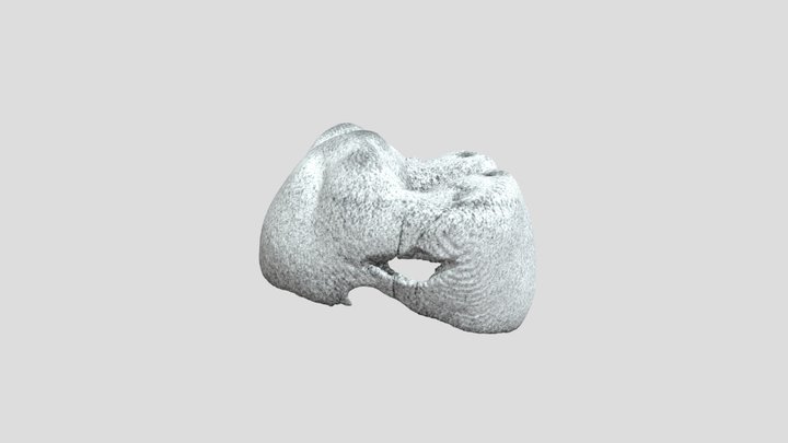 URSM_E 3D Model