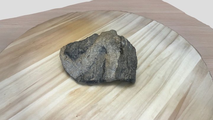 Folded pegmatitoid in schist 3D Model