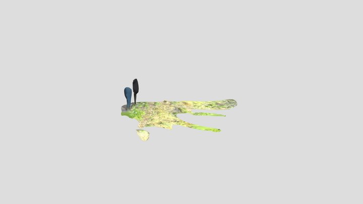 Standard hip 3D Model