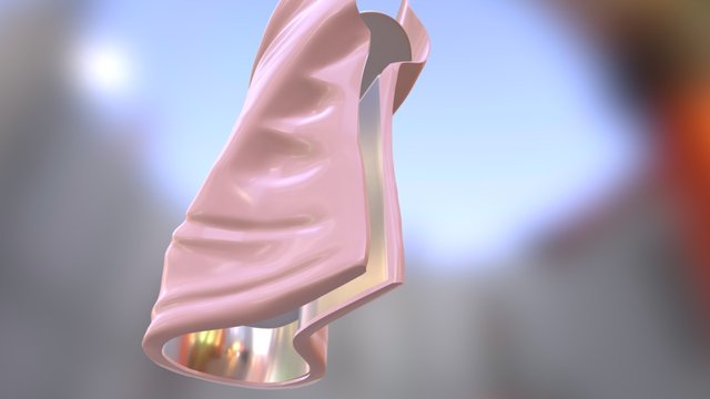 Shoe_Fix_02 3D Model