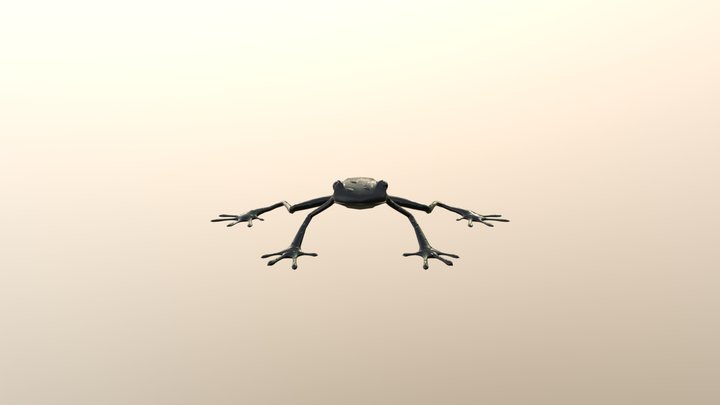 330_frog 3D Model