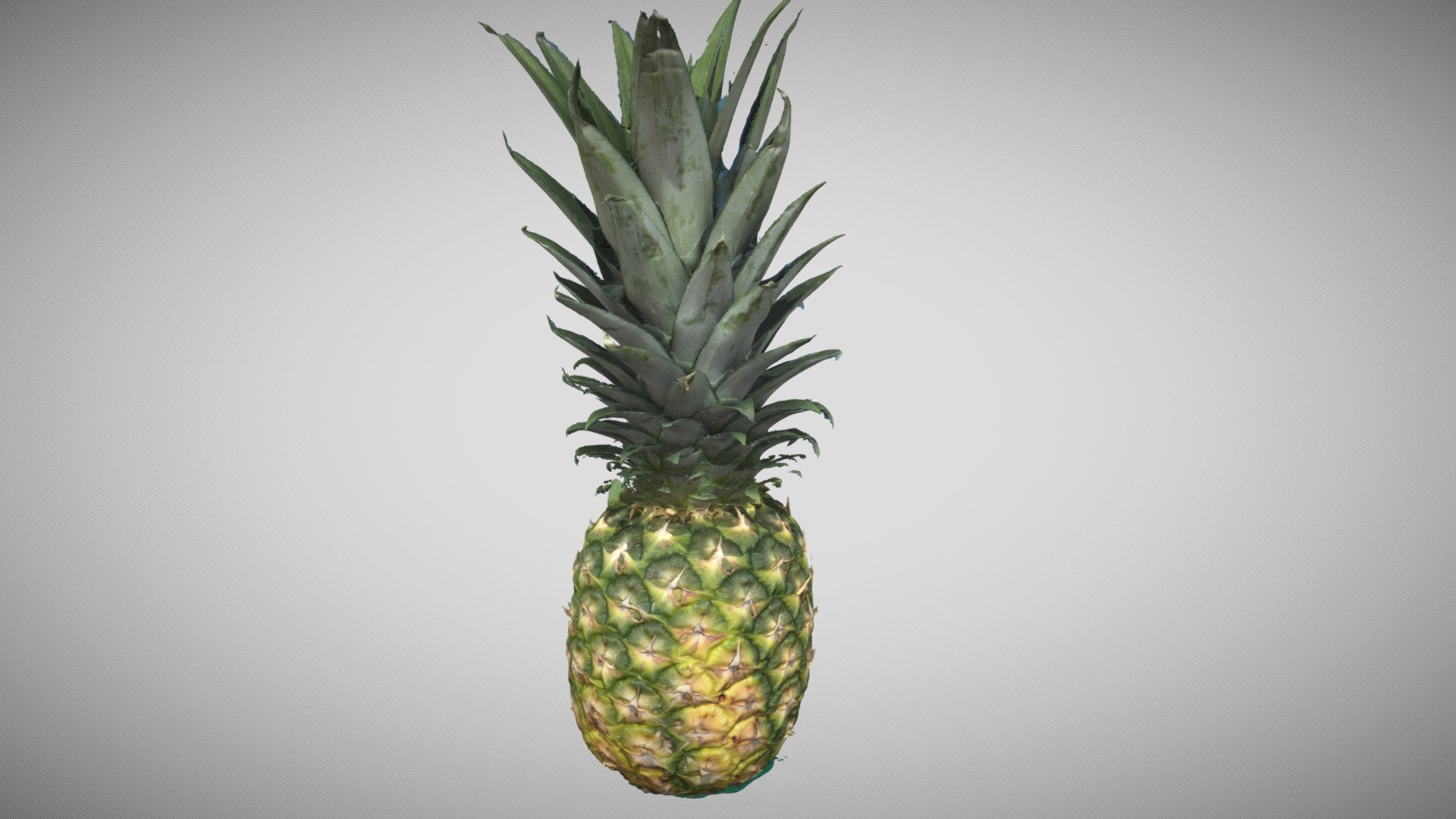 Pineapple 3d Raw Scan With 8k Texture - Buy Royalty Free 3d Model By 