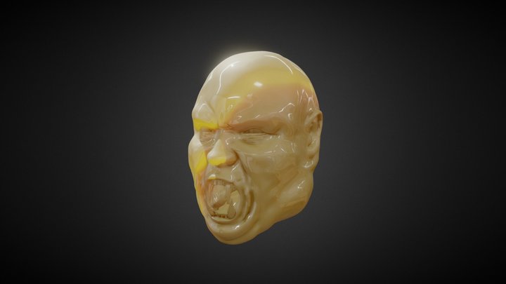 Head Model Test 3D Model