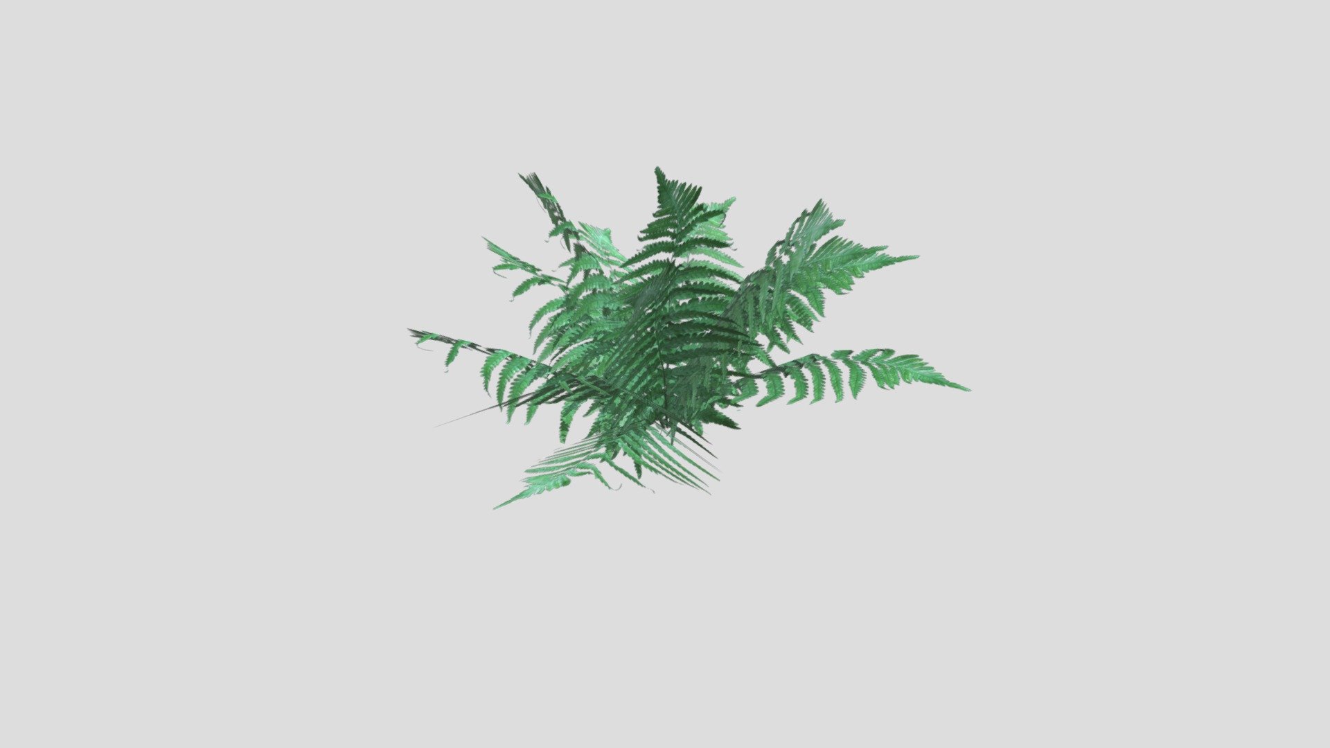 Fern Asset